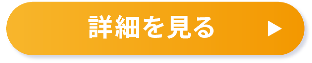 詳細を見る